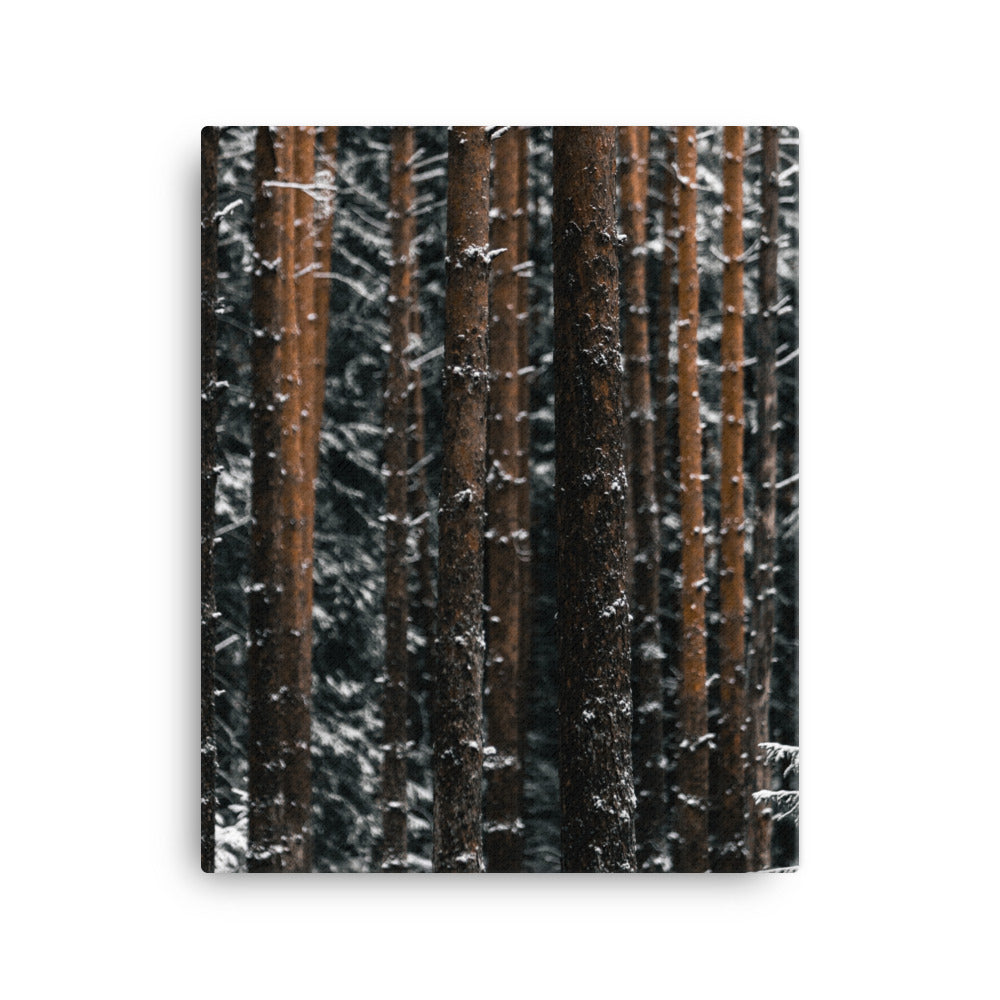 Finnish Winter Canvas